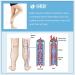 Buy VARCOH Compression Socks for Women & Men (M-4XL) - 20-30 mmHg Knee High Open Toe for Varicose Veins & Blood Circulation - Plus Size Beige - Buy Online on GoSupps.com