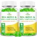 Organic Sea Moss Gummies - 1800mg Irish Sea Moss + 1200mg Burdock Root + 240mg Bladderwrack + 240mg Apple Cider Vinegar - Supports Immune Health & Weight Management [60 Count (Pack of 2)]