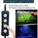 MingDak 24/7 Submersible Aquarium Light | Auto On/Off Timer | 3 Lighting Modes | True 660Nm RED LEDs | Brightness Adjust | 18 LEDs | 7.5 Inch - Buy Online on GoSupps.com