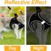 Frevoitna Cat Dishes with Leash - Adjustable Cat Harness Reflective & Breathable - Ideal for Walks (Black XS) - International Shipping Available - Buy Online on GoSupps.com