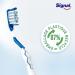 Buy Signal Toothbrush X12 Medium - Intense Shine & Enamel Protection | 12 Pieces - International Shipping Available - Buy Online on GoSupps.com