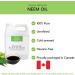 Neem Oil 1900 ml / 64 oz - 100% Pure & Natural Cold pressed Multipurpose uses DIY recipes Amson Naturals. 1.9 l (Pack of 1) - Buy Online on GoSupps.com