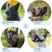 Gentle Muzzle Guard for Dogs - Prevents Biting and Unwanted Chewing Safely New Secure Comfort Fit - Soft Neoprene Padding No More Chafing Included Training Guide Helps Build Bonds with Pet (L Pink) - Buy Online on GoSupps.com
