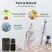 Sandalwood Essential Oil 100% Pure & Organic - 10ML | Natural Aromatherapy Oil - Buy Online on GoSupps.com