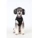 Puppia Dog Harness for Small & Medium Dogs | Soft Vest in Multiple Colors | Atani Train Crockery for Dogs - Buy Now! - Buy Online on GoSupps.com