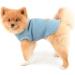 Paidful Soft Cotton Dog Shirts for Small to Medium Dogs & Cats - Breathable Summer Sleeveless Vests - Blue XL (Back Length: 35cm Bust: 47cm) - Buy Online on GoSupps.com