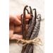 10 Madagascar Bourbon Vanilla Pods Premium Quality Gourmet 15 to 18 cm / 50 g - Buy Online on GoSupps.com