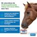 Imima Premium Mineral Salt Lick Block Set for Horses Sheep & Goats - 2 x 3kg (6kg Total) - Ideal for Beef & Wild Animals - Buy Online on GoSupps.com