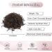 Dark Chocolate Brown Messy Bun Hairpiece | Elastic Drawstring Loose Wave Curly Ponytail Extension | Synthetic Hair Bun for Women Daily Use - Buy Online on GoSupps.com