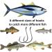 220-Piece Fishing Hooks Set | 2X Strong Circle Hooks for Freshwater & Saltwater Fishing | Offset Octopus Catfish Hooks in Multiple Sizes | BLACK Finish - Buy Online on GoSupps.com