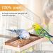 Buy Corner Seating Boards for Birds - 2-Set 10x20cm with Natural Wood Border | Ideal Cage Accessories for Budgies Canaries & Nymphensittich | Fastening Material Included - Buy Online on GoSupps.com
