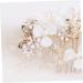 Didiseaon Vintage Hair Comb Rhinestone Gold Hair Comb Gold Leaf Hair Comb Flower Hair Combs for Women Decorative Pearl Hair Comb Rhinestone Hair Comb Tiara Hair Accessories Wedding Bride - Buy Online on GoSupps.com