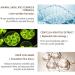 Buy LJHG Magic Wrinkle Eye Cream | Best Solution for Eye Bags - 1PCS | International Shipping - Buy Online on GoSupps.com