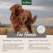 AniForte Tick Shield Tablets Dogs 60pcs - Natural Tick & Flea Treatment for Large Dogs | Easy-to-Use & Effective Repellent for Tick Protection | Chemical-Free Alternative to Flea Killer Sprays - Buy Online on GoSupps.com