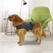 Kittystar Breathable Thunder Shirt for Dogs - Gray L | Calming Coat & Fear Relief Jacket for Puppies - Buy Online on GoSupps.com