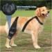 Adjustable Dog Knee Brace | Medium Black Pet Knee Pads for Joint Injury Recovery | Support Straps for Dogs - Buy Online on GoSupps.com