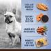 Zoe Dry Dog Food for Small Breeds (Chicken/Quinoa/Black Bean Recipe 2 kg) + Zoe Dental Sticks for Dogs (Small Cinnamon Flavor 6.2 oz) - Buy Online on GoSupps.com
