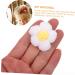 TEHAUX 20 Pcs Hairpin Accessories Hair Pin Flower Embellishments Headdress Material Flowers Child Applique - Buy Online on GoSupps.com