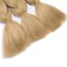 5 Packs Medium Blonde Braids Extensions - Colorful Kanekalon Crochet Hair - 24 Synthetic Hair - 500g for eCommerce International Shipping - Buy Online on GoSupps.com