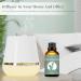 Eucalyptus Essential Oil 100ML/3.38OZ 100% Pure & Natural Organic Eucalyptus Essential Oil for Aromatherapy & Diffuser Bath Eucalyptus Massage Oils Perfect for Gifts SE-Eucalyptus 100ML - Buy Online on GoSupps.com