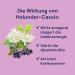 Buy Spitzner Elderberry-Cassis Sauna Infusion (1000 ml) | Premium International Shipping - Buy Online on GoSupps.com