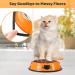 Legendog 3PCS Stainless Steel Pet Bowl Set with Non-Skid Base and Food Scoop - Multicolor - Buy Online on GoSupps.com
