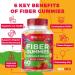 Prebiotic Fiber Gummies for Adults & Kids | Vegan Soluble Fiber with Inulin | Digestive Enzymes for Gut Health | Bloating Relief | Multicolor Natural Flavors - Buy Online on GoSupps.com