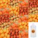Halloween Pumpkin Mallows Jelly Pumpkin Pumpkin Gummies Pumpkin Chocolate Balls Mixed Sweets with Pumpkin Sticker Jar (500g)