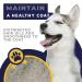 Professional Dog Brush for Grooming & Depilation | Blue Bundle for All Dog & Cat Sizes - Buy Online on GoSupps.com