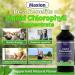 Maxion Liquid Chlorophyll Concentrate to Cleanse and Detoxify your Body Natural Body Deodorant Peppermint Flavor 110ml - Buy Online on GoSupps.com
