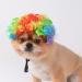 Funny Dog & Cat Role Play Wigs for Halloween & Christmas - Colorful Pet Costumes for Small Medium & Large Dogs - Buy Online on GoSupps.com