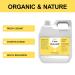 Premium 21.17 oz Coco Glucoside Liquid | Natural Cosmetics Grade Surfactant | Gentle on Skin | Ideal for Face Cleansers, Shampoos, Body Washes - Buy Online on GoSupps.com