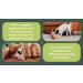 Dog Calming Hemp Oil Joint Care Pain Relief Anxiety Arthritis Stress Dogs (60ml) Twin Pack (x2) - Buy Online on GoSupps.com