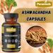 Puranicals Ashwagandha 320 Capsules & Moringa 320 Capsules Herbal Dietary Supplement | Easy Daily Use | Non-GMO Ingredients No Artificial Colors | Capsules Combo Pack - Buy Online on GoSupps.com