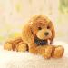 Heionia Teddy Dog Plush Toy - Kawaii Brown Poodle Cuddly Toy (20cm) | Perfect Gift for Kids & Girls | International Shipping Available - Buy Online on GoSupps.com