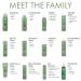 SURFACE Hair Blowout Firm Hair Spray for Women and Men 8.8oz - Heat Protecting Volumizing Lychee and Maracuja Oil - Premium Blowout Hair Products for Styling - Buy Online on GoSupps.com