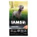 IAMS ADVANCED HEALTH Dog Food Dry SKIN & COAT Adult Chicken & Salmon Recipe 2.72kg Bag 2.72 kg (Pack of 1)