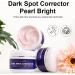 AILKE BOOST LUSTER AILKE Dark Spot Corrector Pearl Bright Cream lightening skin reduces freckles melanin hyperpigmentation even skin tone 100 ml pack of 1 1 copy - Buy Online on GoSupps.com