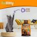 BioKitty Clumping Cat Litter Highly Absorbent Natural Mineral Bentonite Cat Sand Litter Scented Long Lasting Odour Control Cat Litter Cat Litter Clumping 10L (Baby Powder) Baby Powder Pack 1 - Buy Online on GoSupps.com
