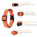 Heele Dog Collar - Soft Padded Neoprene Nylon Adjustable Reflective Collar for Small & Medium Dogs - Training Orange L (40-66 cm) - 1 Pack - Buy Online on GoSupps.com