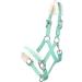 Halter with Plush Padding - RL24 BASICLINE in Light Green for Shetland Pony Thoroughbred & Warmblood | International Shipping - Buy Online on GoSupps.com
