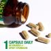 Natural Factors Super Mushroom Whole Food Supplement - 60 Vegan Capsules - Buy Online on GoSupps.com
