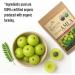 100% Organic Amla Powder, Ayurvedic Blend for Digestive Health, Immune Support, Vegan & Gluten-Free Nutrition, Natural Vitamin C Source for Hair, Skin, & Daily Wellness Vitality - 16oz 16 Ounce (Pack of 1) - Buy Online on GoSupps.com