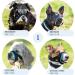 Gentle Muzzle Guard for Dogs - Prevents Biting and Unwanted Chewing Safely New Secure Comfort Fit - Soft Neoprene Padding No More Chafing Included Training Guide Helps Build Bonds with Pet (S Blue) Blue S (Pack of 1) - Buy Online on GoSupps.com