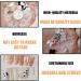 3D Bow Nail Charms 1Box - Butterfly, Bear, Pearl - Nail Art Decorations for Women & Girls | Resin Bowknot Charms - DIY Nail Art Design - Buy Online on GoSupps.com