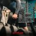 Activlab Glucide Carbomax Energy Power Dynamic 1000 Orange - Buy Online on GoSupps.com