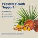 Auivty Prostate Health Supplement Saw Palmetto Nettle & Plant Sterols Supports Prostate & Urinary Health with Turmeric Zinc & Magnesium 90 Vegan Capsules Non-GMO - Buy Online on GoSupps.com