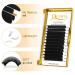 Easy Fan Lashes | Self-Fan Volume Eyelash Extensions 0.07 D Curl 8-15mm | International Shipping - Buy Online on GoSupps.com
