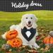 Kuoser Dog Bandana Neckerchiefs for Big Dogs - Christmas & Fly Resistant Black XS Cloth - Buy Online on GoSupps.com