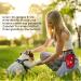 24-Part Dog & Cat First Aid Set | Essential Travel Pharmacy & Emergency Health Products - Buy Online on GoSupps.com